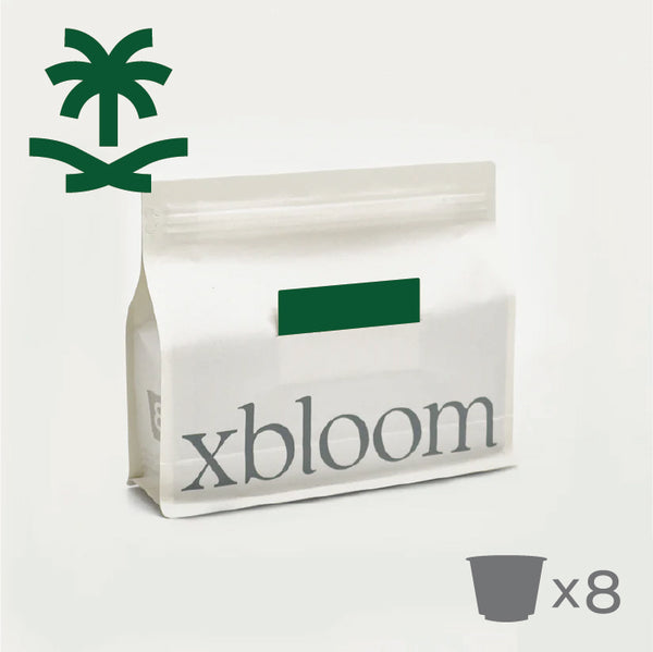 Saudi Coffee (8 xPods) - xbloom